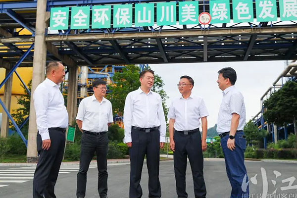 杨林兴：把新型工业化摆在更加突出的位置，让“四化同步”发展的主引擎作用更加凸显